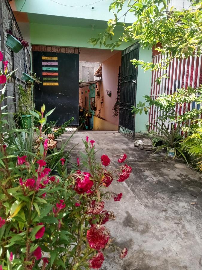 Proxima Estacion Hostel Maceió 外观 照片